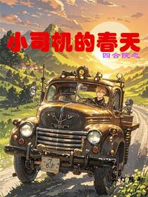 四合院之小司机的春天
